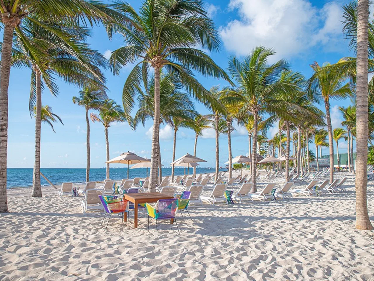 White-sand beach lined with palms and loungers